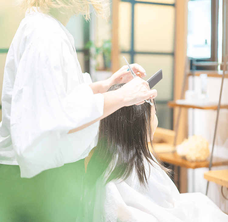 La Chou Chou Hair Concerns